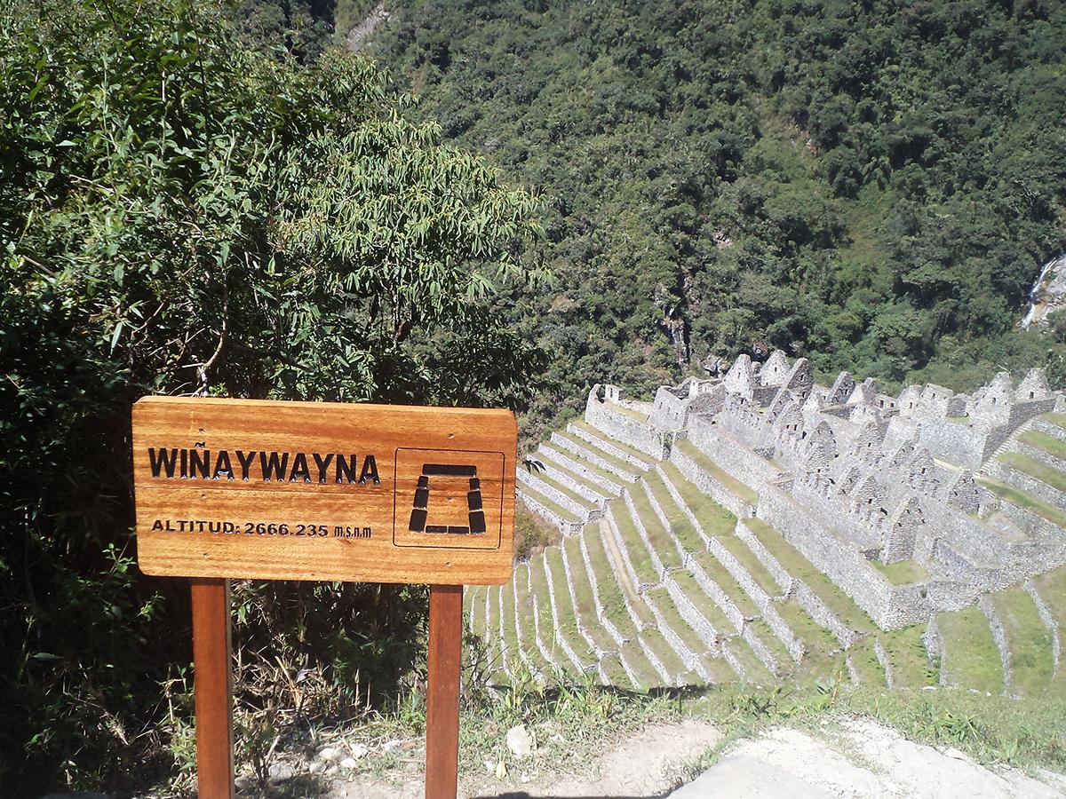 camino del inca cusco